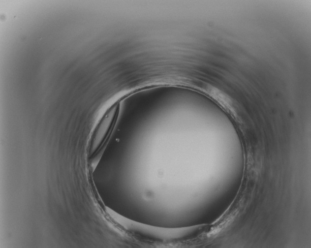 X0000063500854200601271743