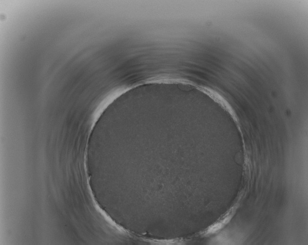 X0000063500855200601271743