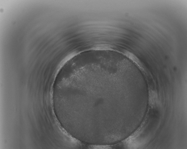 X0000063500856200601271743