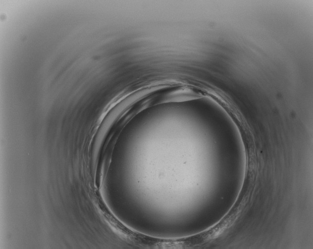 X0000063500858200601271743