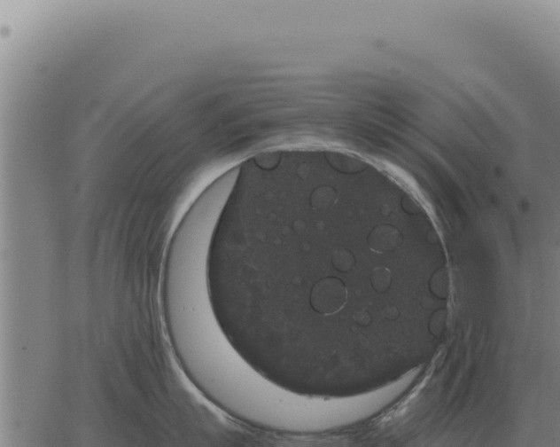 X0000063500863200601271743