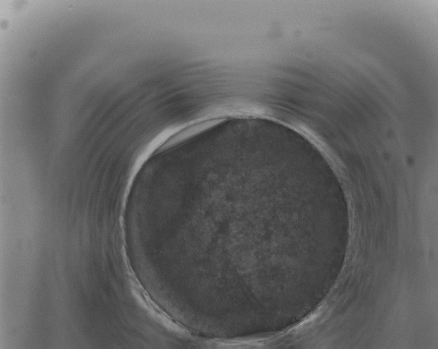 X0000063500864200601271743