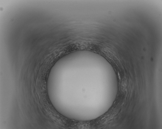 X0000063500865200601271742