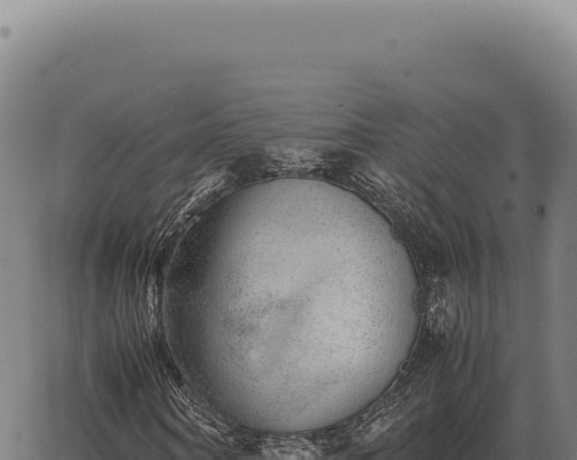 X0000063500866200601271742