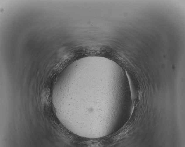 X0000063500867200601271742