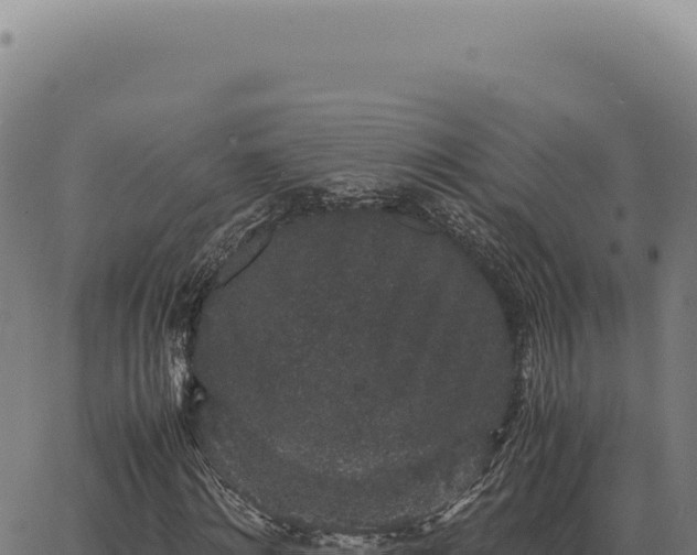 X0000063500868200601271742