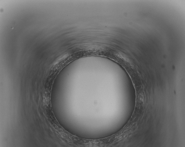 X0000063500869200601271742