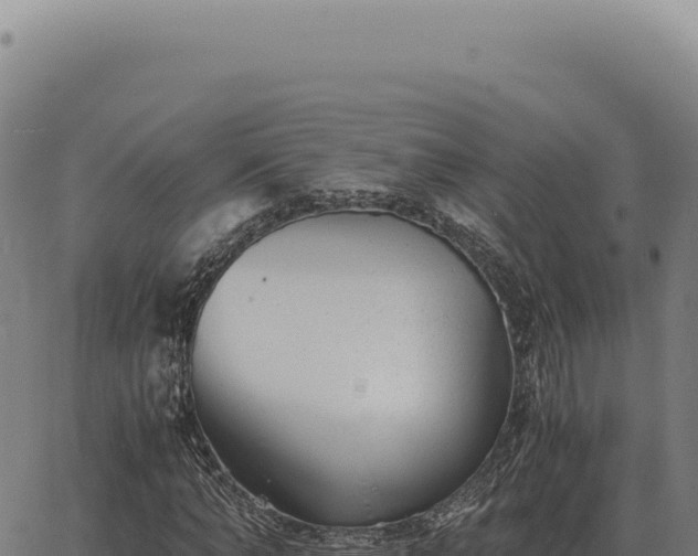 X0000063500870200601271742