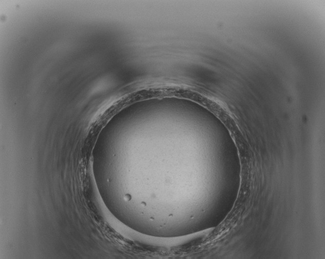 X0000063500871200601271742