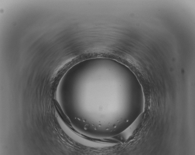 X0000063500872200601271742