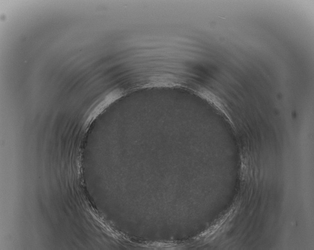 X0000063500874200601271742