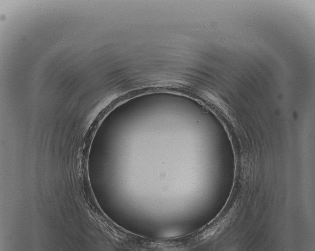 X0000063500875200601271742