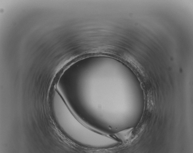 X0000063500876200601271742