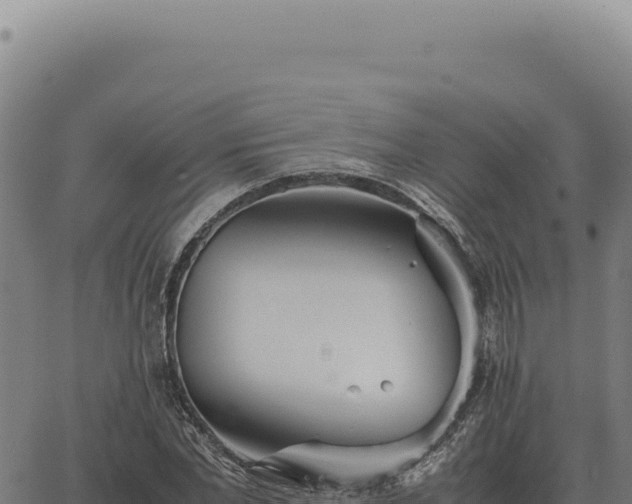 X0000063500877200601271742