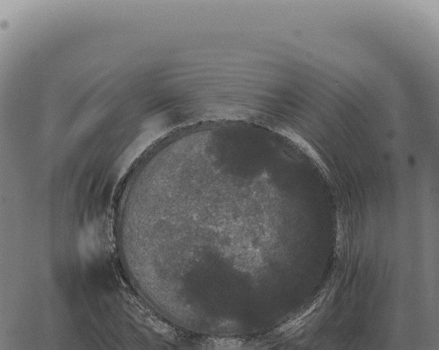 X0000063500878200601271742