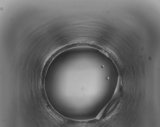 X0000063500880200601271742