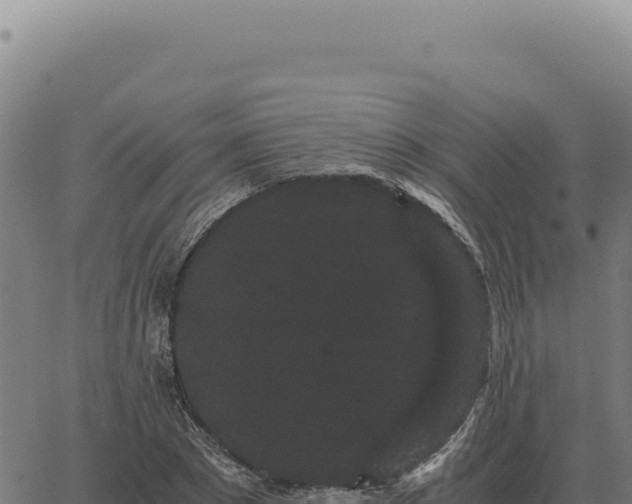 X0000063500881200601271742