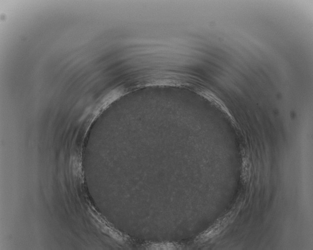 X0000063500882200601271742