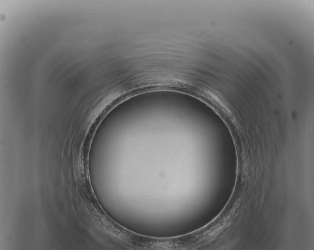 X0000063500883200601271742