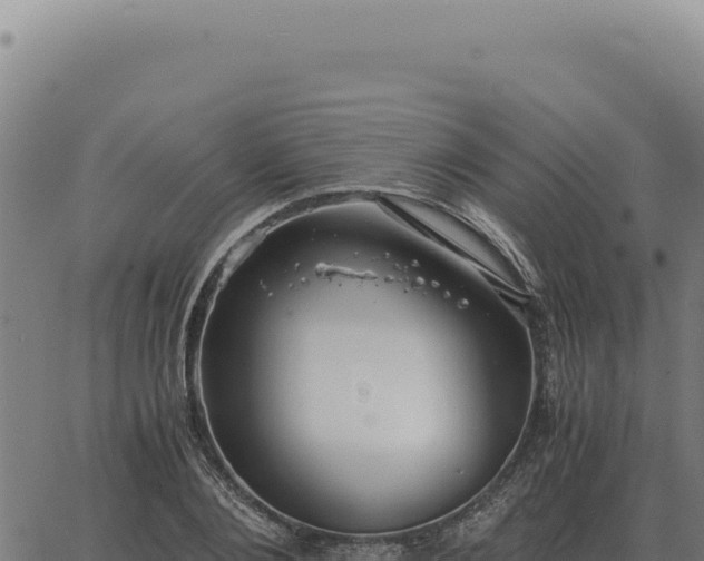 X0000063500884200601271742