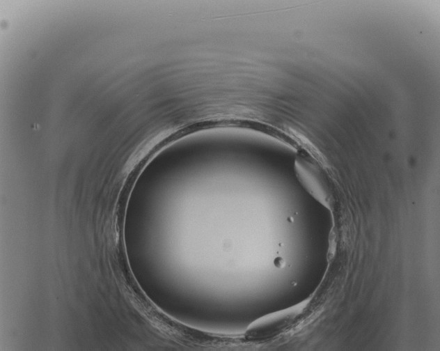 X0000063500885200601271742