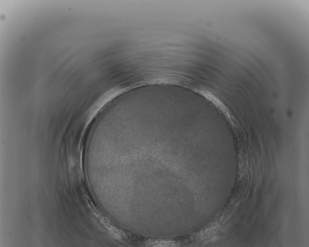 X0000063500886200601271742