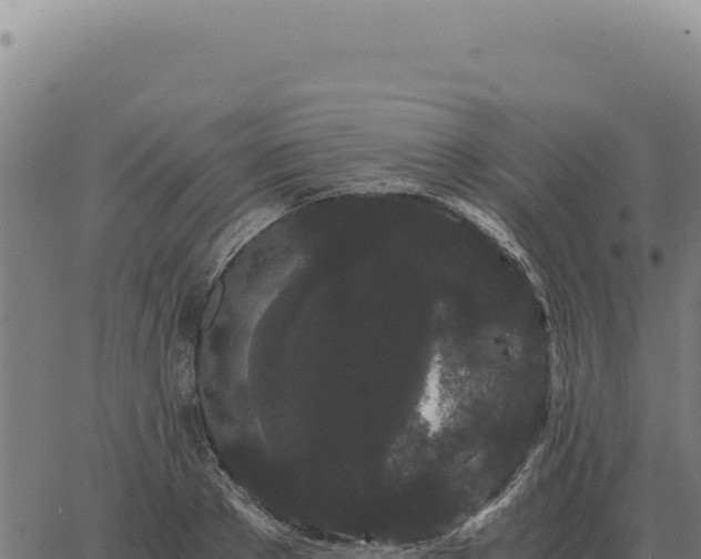 X0000063500889200601271742