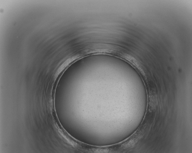 X0000063500890200601271742