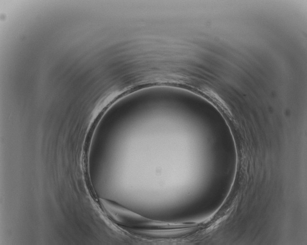 X0000063500893200601271742