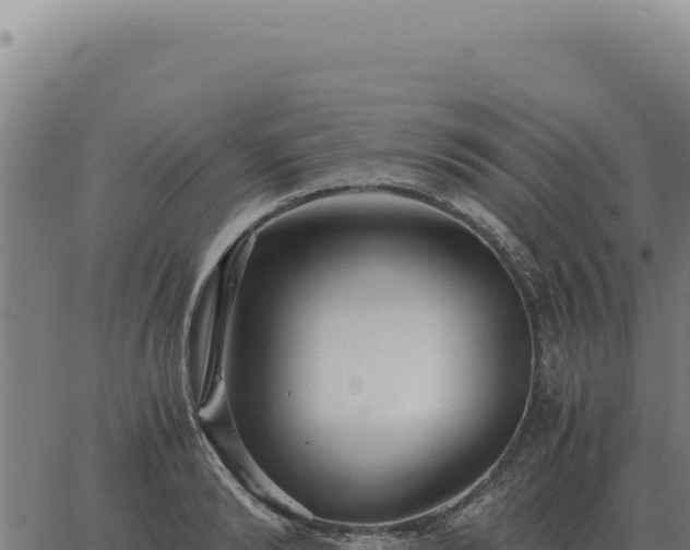 X0000063500894200601271742