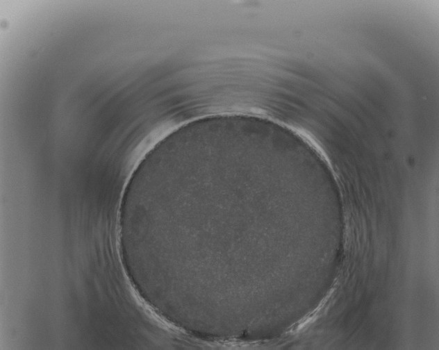 X0000063500895200601271742