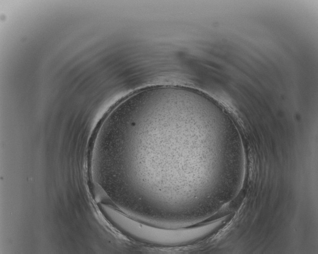 X0000063500896200601271742