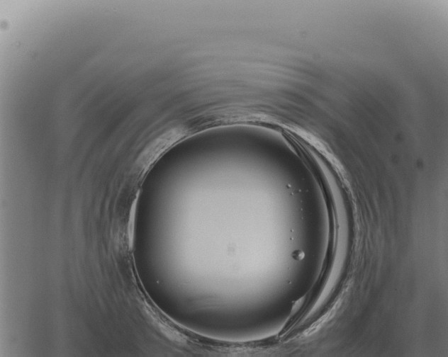 X0000063500897200601271742