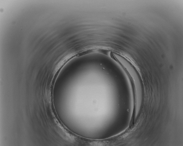 X0000063500898200601271742