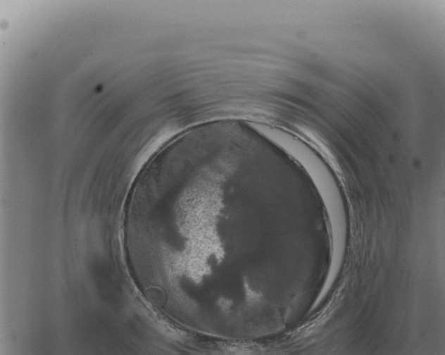 X0000063500899200601271742