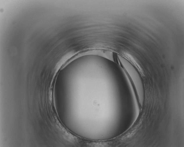 X0000063500900200601271742