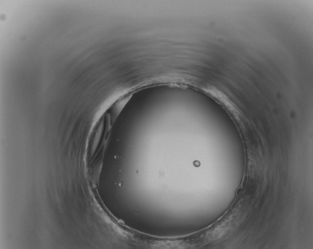 X0000063500902200601271742