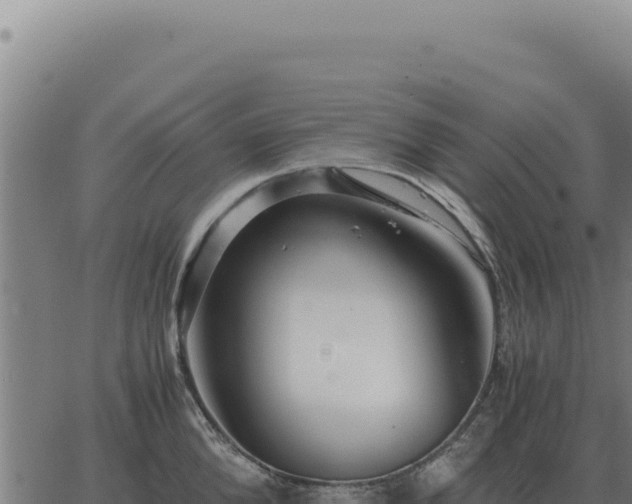 X0000063500904200601271742