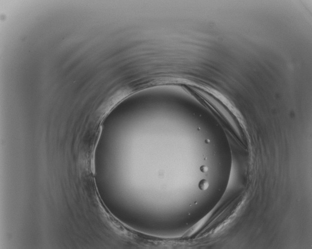 X0000063500905200601271742