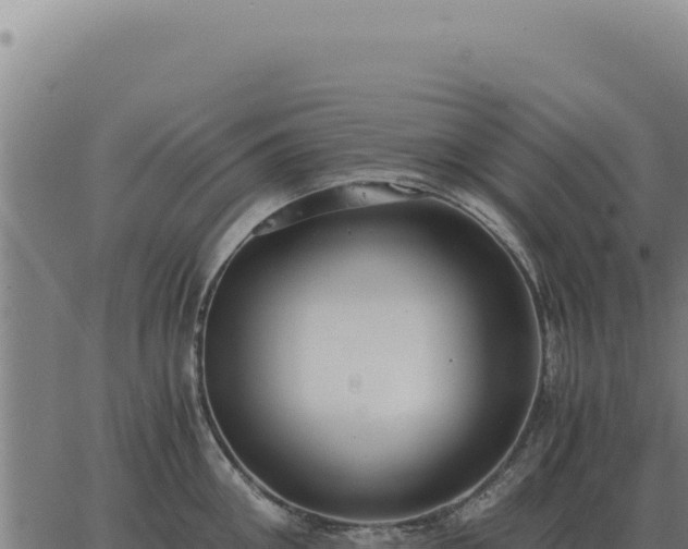 X0000063500906200601271742