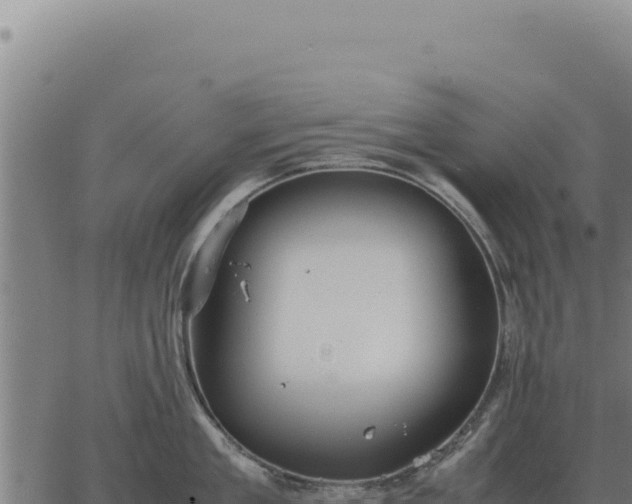 X0000063500909200601271742