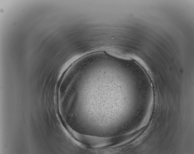 X0000063500910200601271742