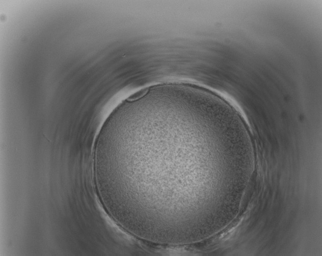 X0000063500911200601271742