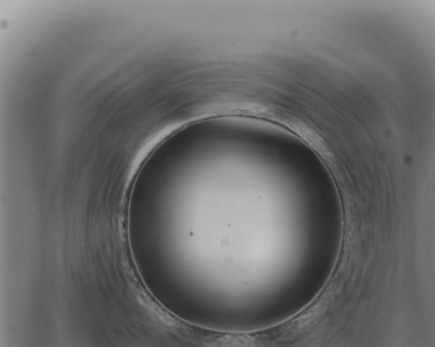 X0000063500912200601271742