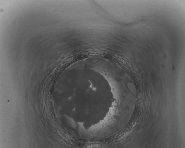 X0000063500913200601271741