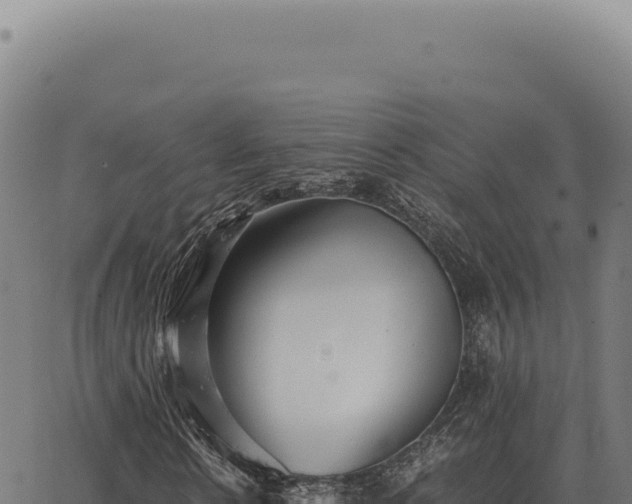 X0000063500914200601271741