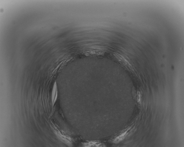 X0000063500915200601271741