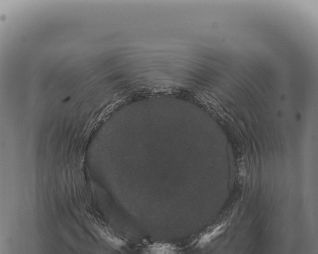 X0000063500916200601271741