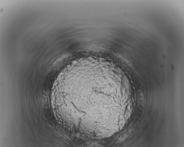 X0000063500918200601271741