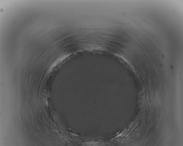 X0000063500919200601271741